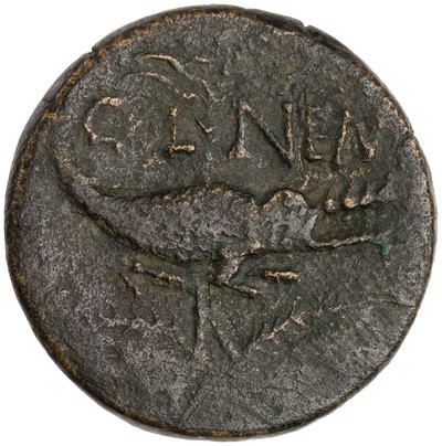 American Numismatic Society: Bronze As of Augustus, Nemausus, 20 BC ...