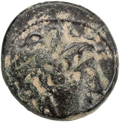 American Numismatic Society: Bronze Coin of Seleucus I Nicator, Antioch ...